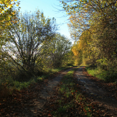 Pestrofarebná cestička