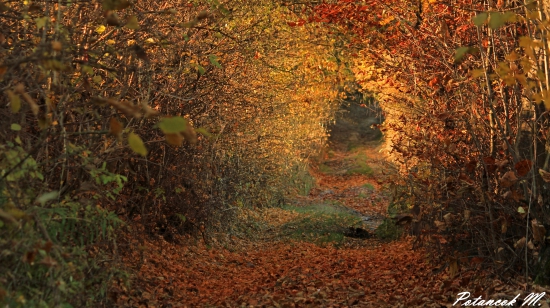 Jesenný tunel