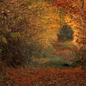 Jesenný tunel