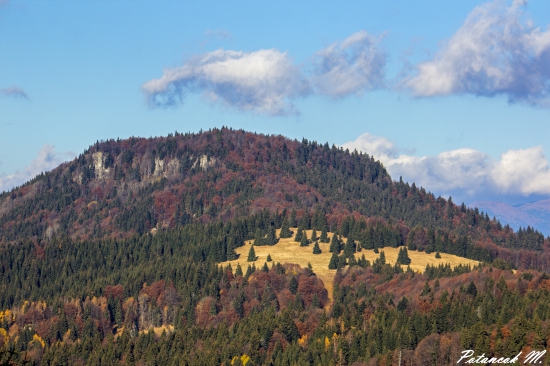 Vepor