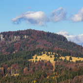 Vepor