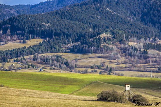Šajba