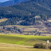Šajba