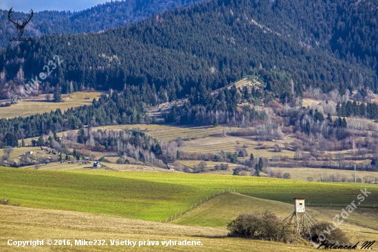 Šajba