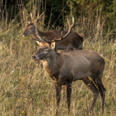 Ideme sa fotit, tvár sa normálne