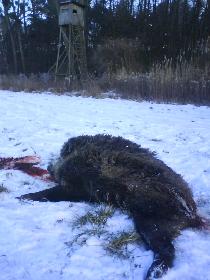 Ćierny rytier to má za sebou-Lovu zdar