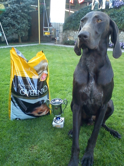 Môj Gron ako víťaz JSS v Letničiu na Záhorí..