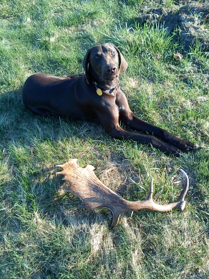 S Gronom na zhodoch.