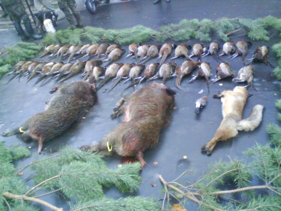 Úspešná polovačka