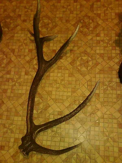 najprv jeden, ten krajší