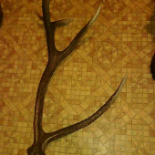 najprv jeden, ten krajší