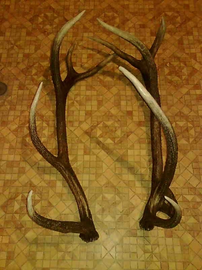 druhy našiel kamarát na druhy den