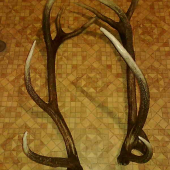 druhy našiel kamarát na druhy den