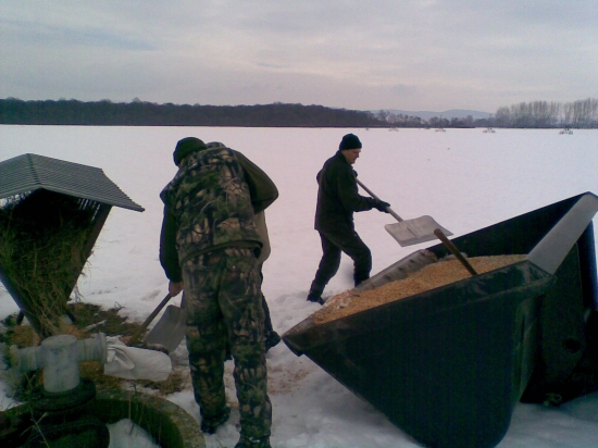dnešné prikrmovanie