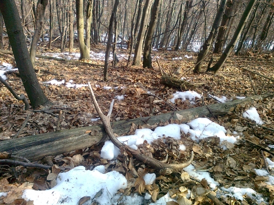 Dnes, ale minuloročný...škoda.