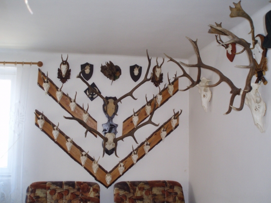 Zbierka krásnych zážitkov.