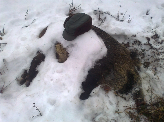 Smutné odhalenie...