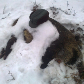 Smutné odhalenie...