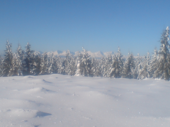 Velka Knola- pohlad na vysoke tatry