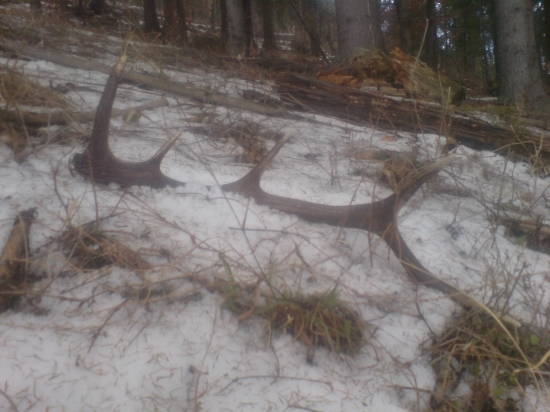 niekedy aj to potesii