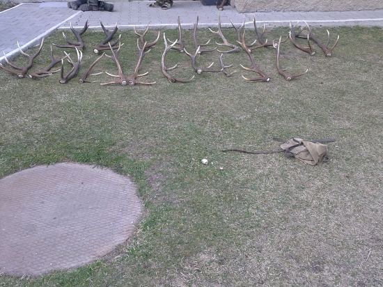 tohtorocna uroda ...