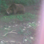 slaba kvalita ale dokaz mame....