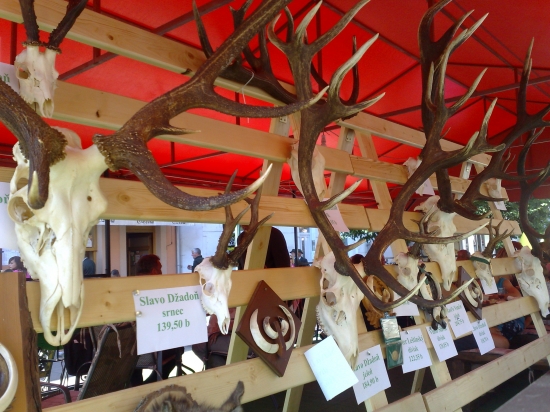 1 Poľovnícky deň KK