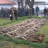 výřad r.2009