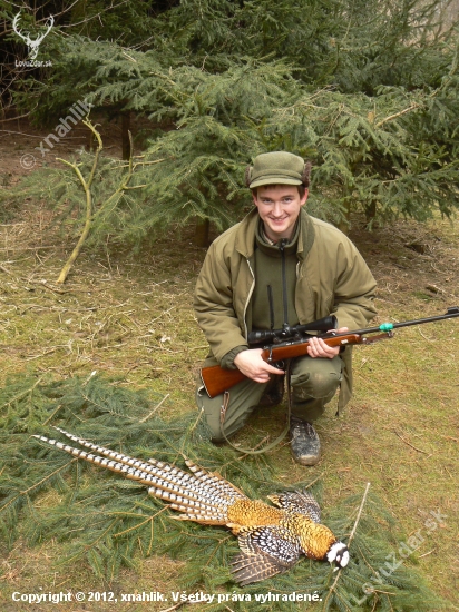 můj první královák