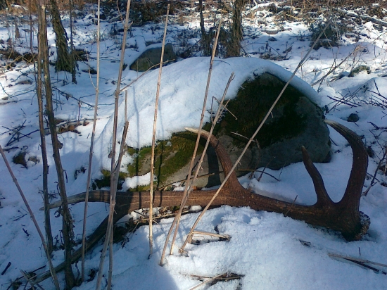 Spomienka na rok 2011