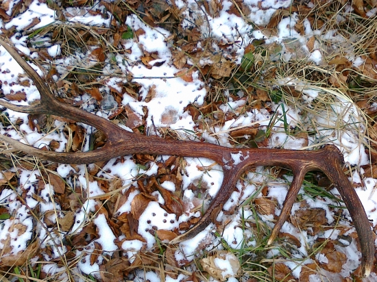 Prvy cerstvy .... Rok 2011