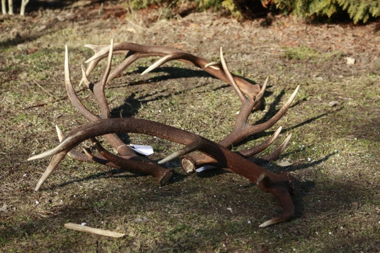 To najlepšie čo doma máme