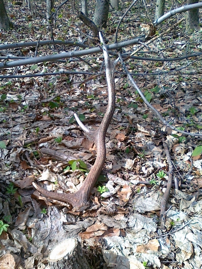 Takto si tam stal ...