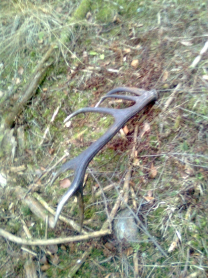 KONECNE  PRVY  TOHOROCNY