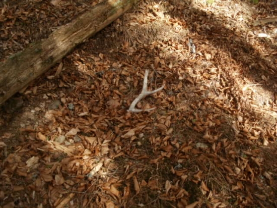 aj take este sa najdu