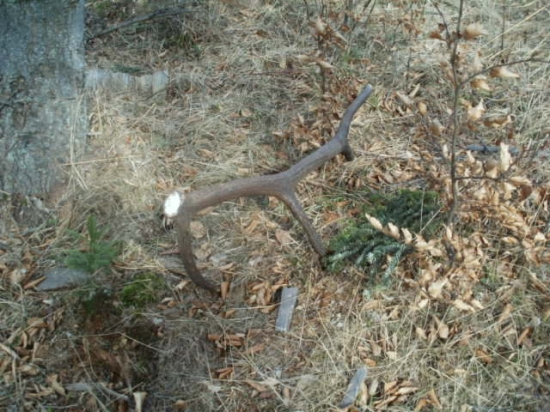 dnešný zhod po týždňu