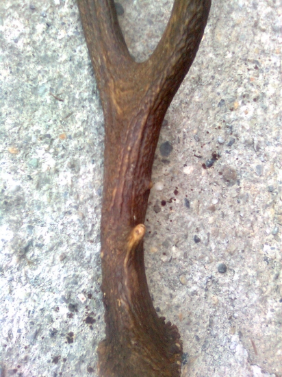 ma tam take male 3pucniky