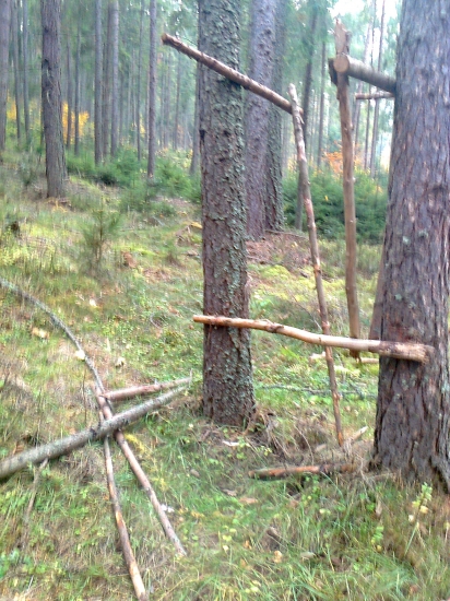 zburali mi seňik sviňe