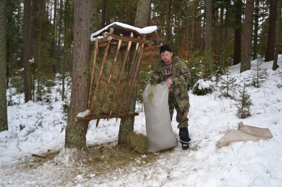 zaplnenie senika