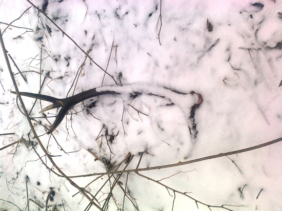 spomiena na mynuli rok