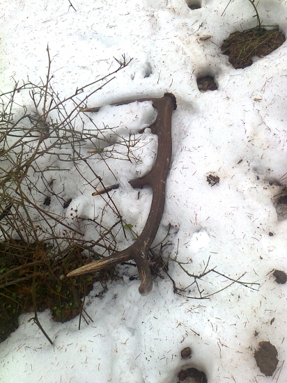 vcerajsi prvý konecne