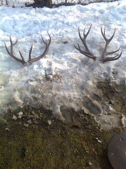 zhody konečňe som doparoval