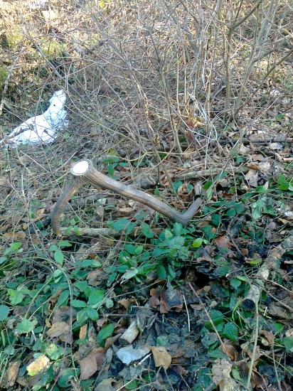 dnešni druhy ma na hlave ešte