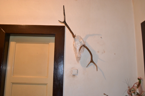 rarita po vyčisťeni