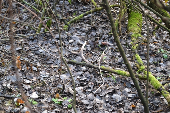 konecne sa podarilo aj mne najst