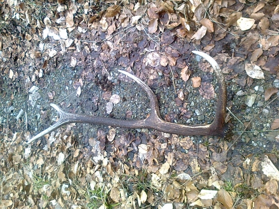 dnesny minolorocný 8-torak