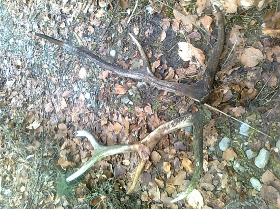 nieje to par ale boli od seba 3metre