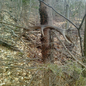 konečne tohoročný