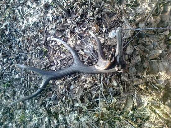 rok tam ležal ma2kg