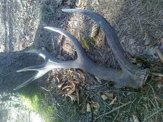 niet k nemu par14torak